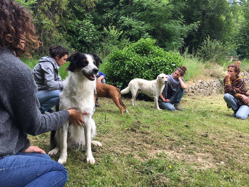 Cercle Canin Entre 2 mers