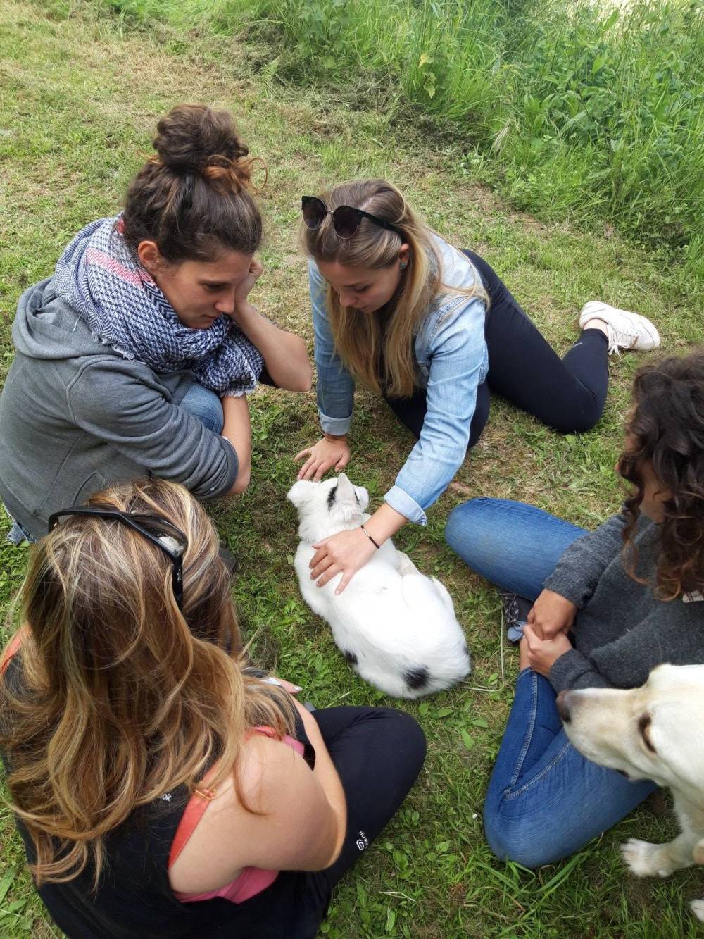 Cercle Canin Entre 2 mers