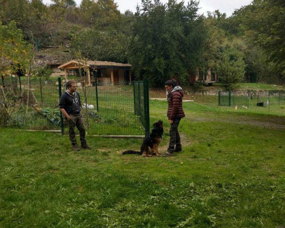 Cercle Canin Entre 2 mers