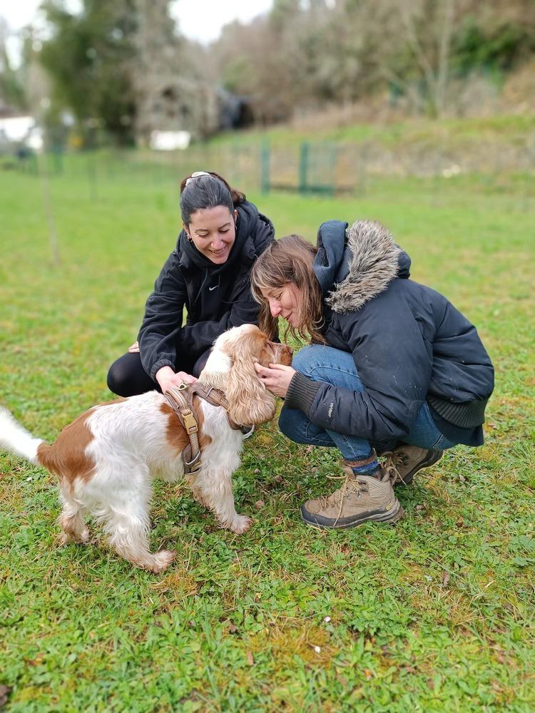  comportementaliste à Bordeaux et Langon (1)